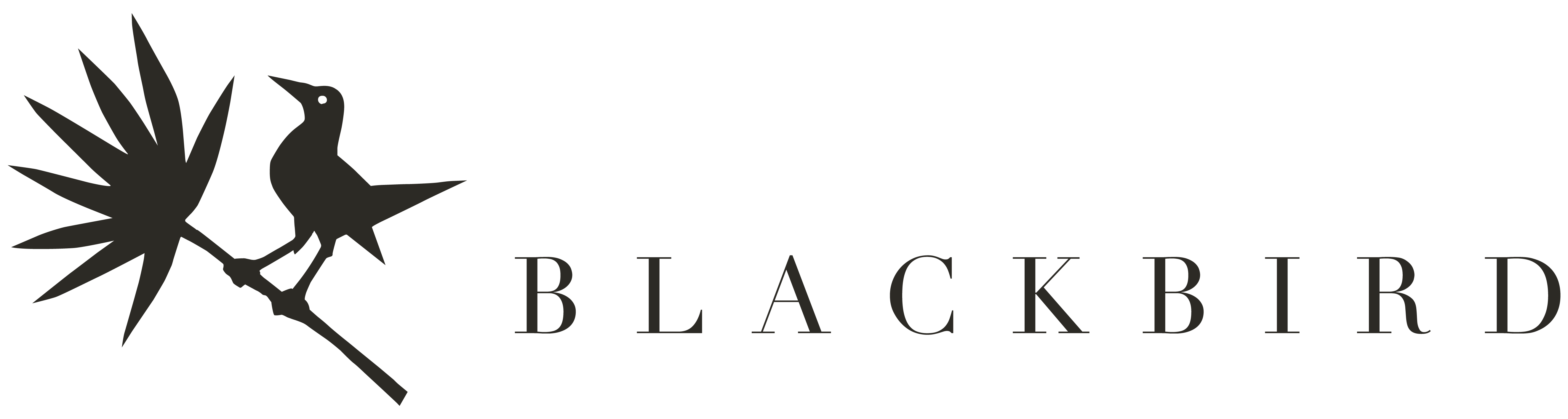 Blackbird Byron Luxury Retreat Logo